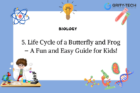 Life Cycle of a Butterfly and Frog