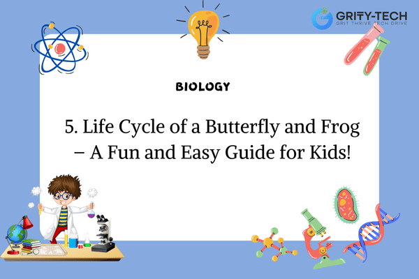 Life Cycle of a Butterfly and Frog