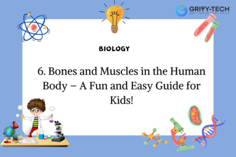 Bones and Muscles in the Human Body