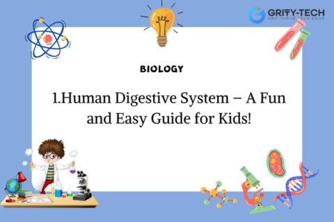 Human Digestive System