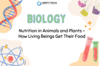 Nutrition in Animals and Plants – How Living Beings Get Their Food