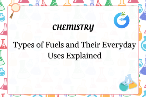 Types of Fuels and Their Everyday Uses Explained