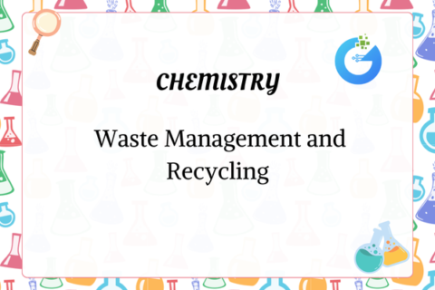 Efficient Waste Management & Recycling Solutions