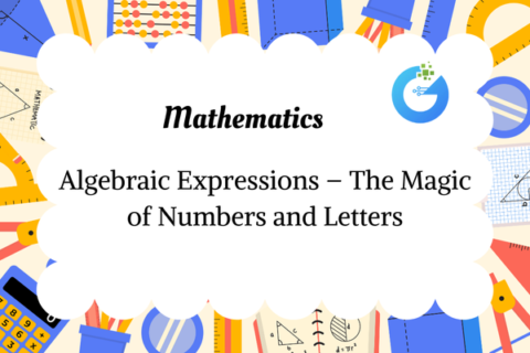 Algebraic Expressions – The Magic of Numbers and Letters
