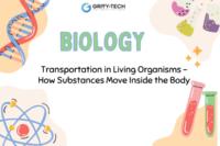 Substance Transport in Living Organisms Explained