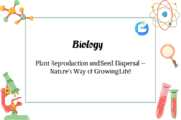 Plant Reproduction and Seed Dispersal – Nature’s Way of Growing Life!
