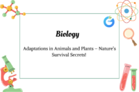 Adaptations in Animals and Plants – Nature’s Survival Secrets!