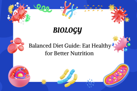 Balanced Diet Guide: Eat Healthy for Better Nutrition