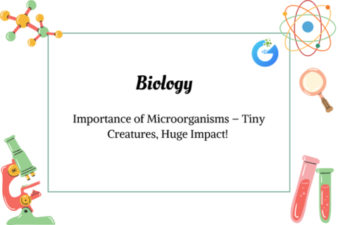 Importance of Microorganisms – Tiny Creatures, Huge Impact!