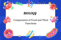 Key Components of Food and Their Essential Functions
