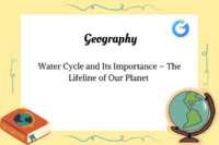 Water Cycle and Its Importance – The Lifeline of Our Planet 