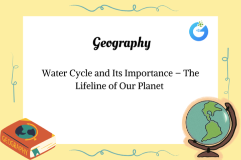 Water Cycle and Its Importance – The Lifeline of Our Planet 