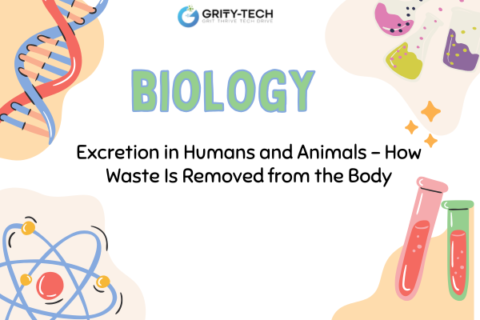Excretion in Humans & Animals | Body Waste Removal Explained