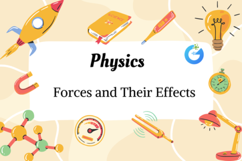 Forces and Their Effects | Learn Physics Basics Easily