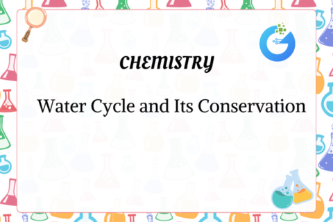 Water Cycle and Its Conservation Explained Simply