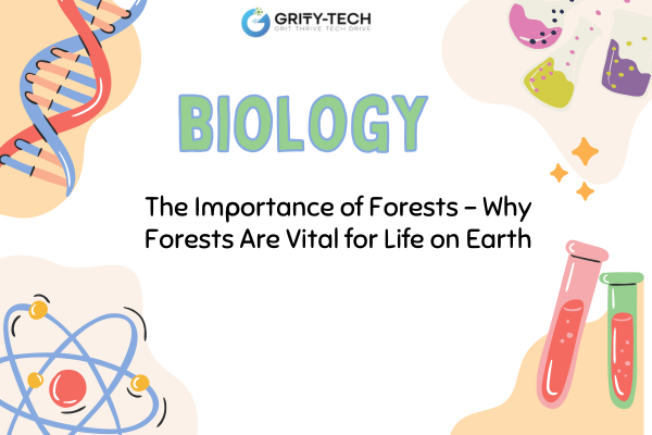 The Importance of Forests: Vital for Life on Earth