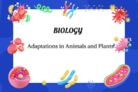 Adaptations in Animals and Plants