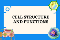 Cell Structure and Functions