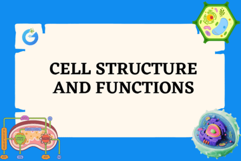 Cell Structure and Functions