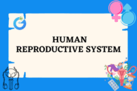 Understanding the Human Reproductive System