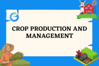 Crop Production and Management