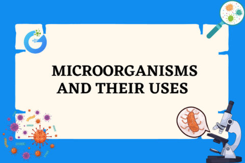 Microorganisms and Their Uses