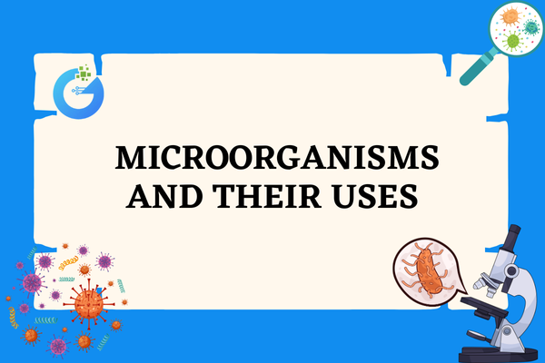 Microorganisms and Their Uses