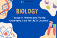 Tissues in Animals and Plants: Organizing Cells