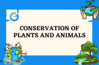 Conservation of Plants and Animals Guide