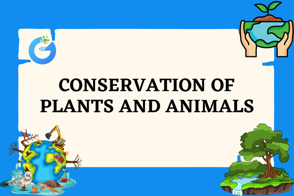 Conservation of Plants and Animals Guide