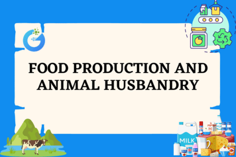 Food Production and Animal Husbandry