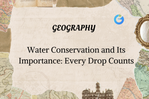 Water Conservation: Every Drop Counts