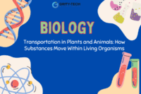 Transportation in Plants and Animals