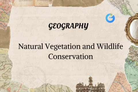 Natural Vegetation and Wildlife Conservation
